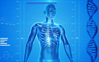 Increase in Musculoskeletal Conditions in the US