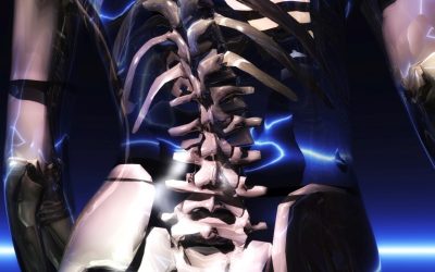 The Burden of Musculoskeletal Diseases in the United States