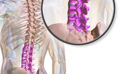 Variable Evidence on CPR for the Lumbar Spine